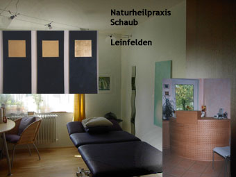Naturheilpraxis Schaub